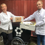 Bybi